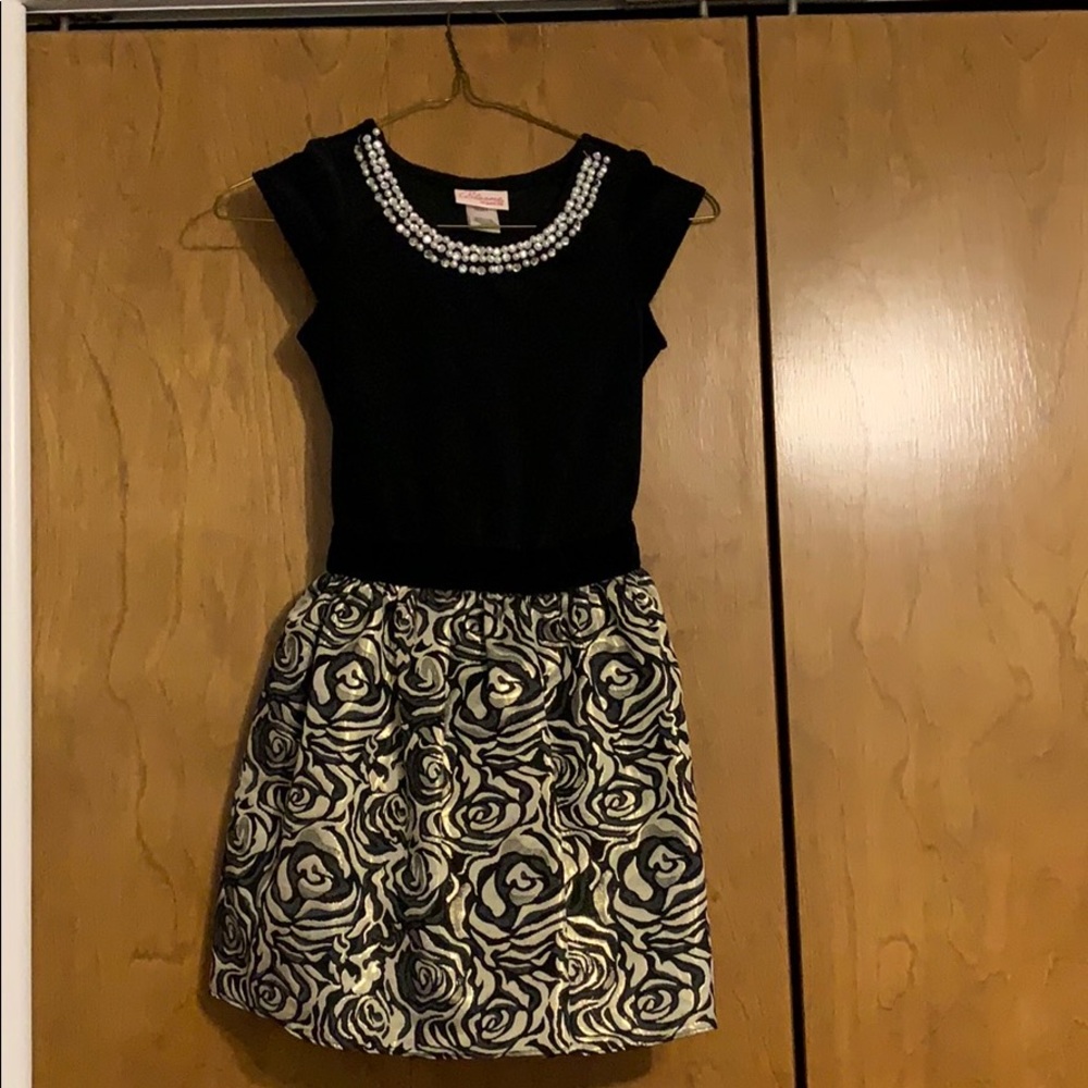 Kids Formal Velvet-Topped, Rose Skirt Dress